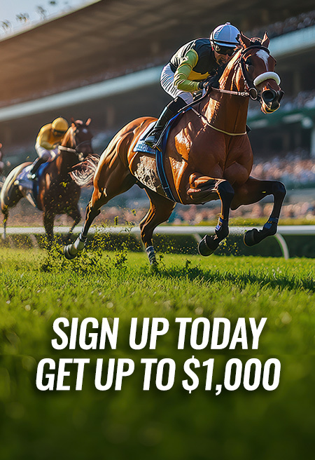 Sign Up Banner